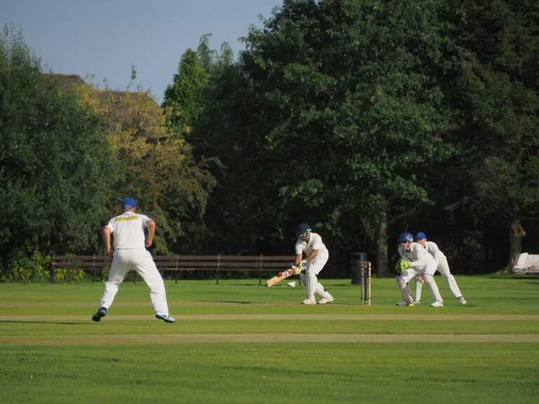 IPL’s Influence on Cricket Stadium Sight Screen Adjustments