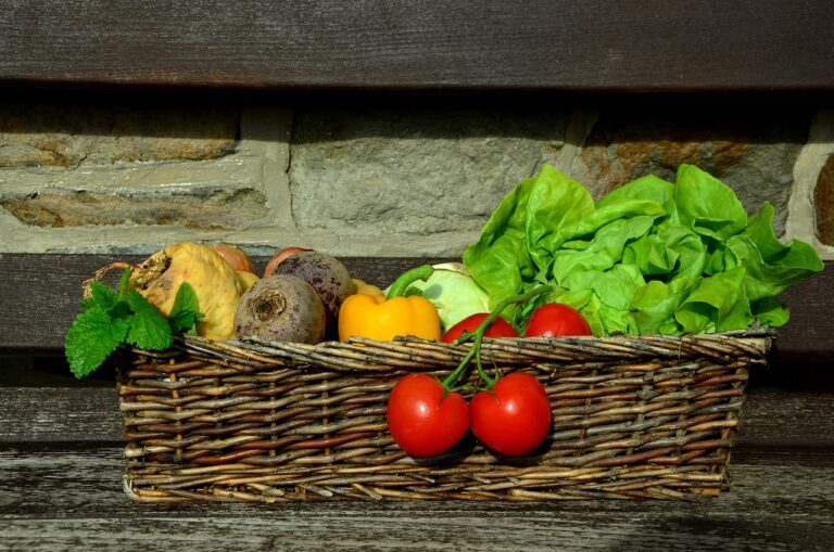 Canning for Food Preservation: Historical Practices and Modern Applications