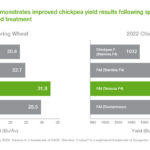 How to Get Your Cricket ID Online – Complete 2026 Step‑by‑Step Guide